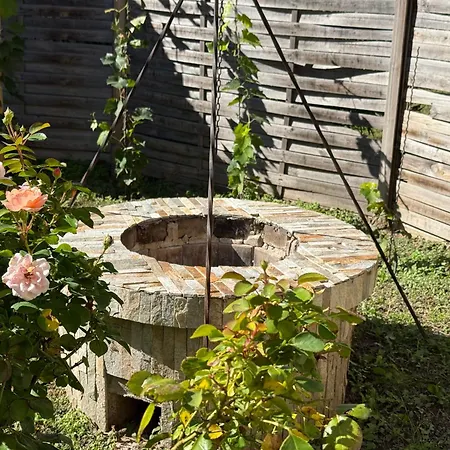 Irma Vendeghaz * Badacsonytomaj