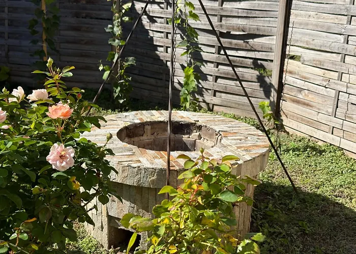 Irma Vendeghaz * בדקסוניטומאי